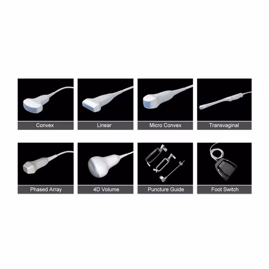 3D 4D Full Digital Trolley Color Doppler Plus Ultrasound Scanner Trolley Ultrasound